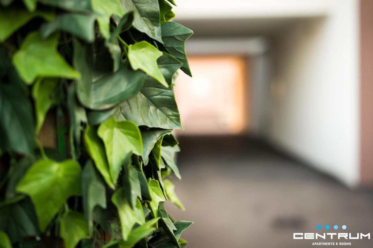 Centrum โอซีเยก ภายนอก รูปภาพ